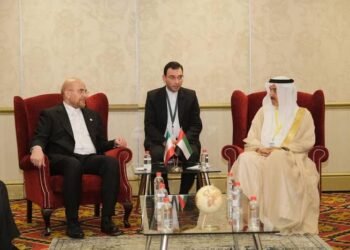 UAE and Iran officials review parliamentary ties in Johannesburg meeting