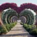 Dubai Miracle Garden is reopening this weekend