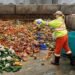 1 billion people in the world waste food every day