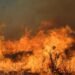 Texas is burning in the largest wildfire in history