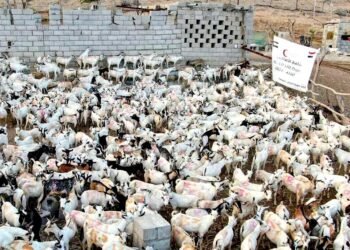 Emirates Red Crescent launches sacrificial meat distribution project in Yemen