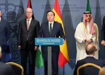 Meeting of the Muslim world and European countries to ensure Palestine-Israel two-state solution