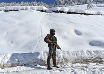 India, China strike border patrol pact that could ease ties, top official says