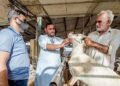 UAE Imposes Dh20,000 Fine in Crackdown on Illegal Abattoirs Before Eid Al Adha