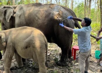 CITES highlights high standards at Vantara and strong Indian regulations