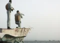 US Officials Signal Potential Breakthrough in Strait of Hormuz Shipping Negotiations