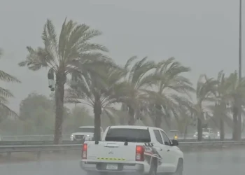 UAE Experiences Third Consecutive Day of Heavy Rain and Hail Across Multiple Regions