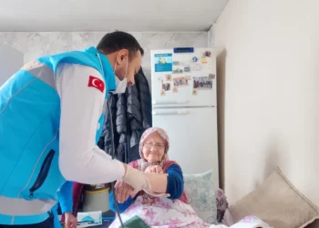 Global Aging: How Nations are Redesigning Housing and Care for Older Generations