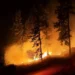 Spokane Wildfires Force Mass Evacuations as Washington Faces Unprecedented Destruction