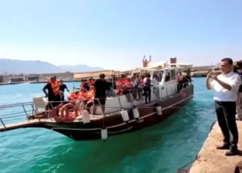 Authorities Detain Crew After Ferry Capsizes Off Northern Cyprus, Leaving 18 Missing