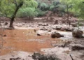 Search Underway for 15 Missing After Severe Flash Flooding Hits Grand Canyon