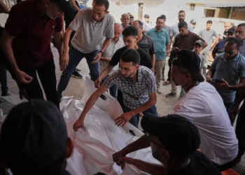 Israeli Strikes Continue in Gaza Despite New US-Backed Disarmament Roadmap