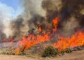 Two Crew Members fatal case in Helicopter Crash While Battling Utah Wildfire