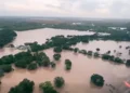 What we know about A summer of extremes: Weathering a hotter world