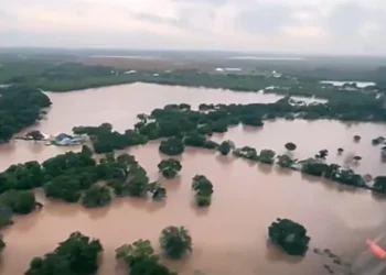 What we know about A summer of extremes: Weathering a hotter world