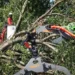 Thousands in Indiana Remain Without Power Following Deadly Storms and Flooding