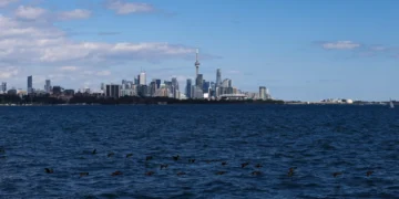 Google Updates Maps to Reflect Trump Executive Order Renaming Lake Ontario to Lake America