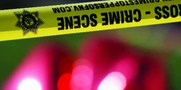 Police Arrest Maharashtra Woman Following Alleged Attempted fatal case of Husband
