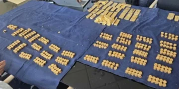 Construction Workers Discover Over $10 Million in Gold Hidden Inside Belgian Cellar Wall