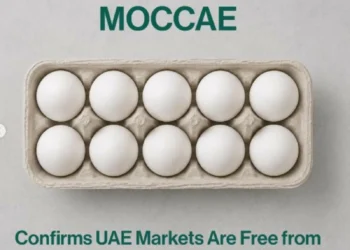 UAE Ministry Confirms Local Egg Supply Safe Following US Salmonella Recall