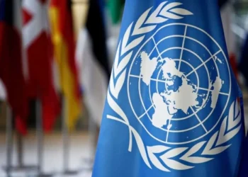 UN Report Highlights Urgent Need for Enhanced Digital Protections for Children