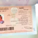 Renowned Singer linked to the case in Dubai Over Alleged Sale of Dozens of Fraudulent Visas